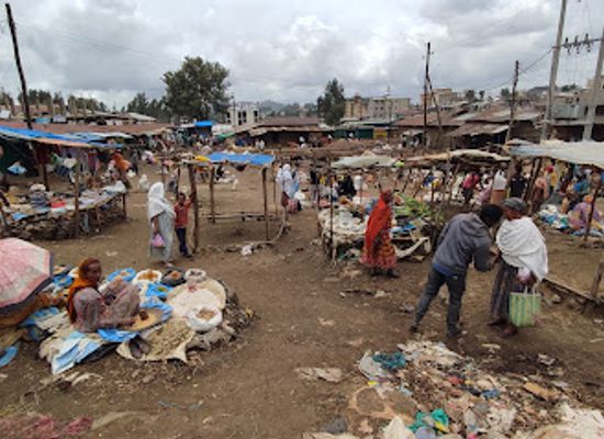 ethiopia/tigray-region/shop/market-place