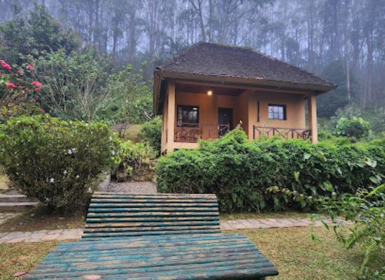 madagascar/andasibe-mantadia-national-park/shop/vakona-forest-lodge