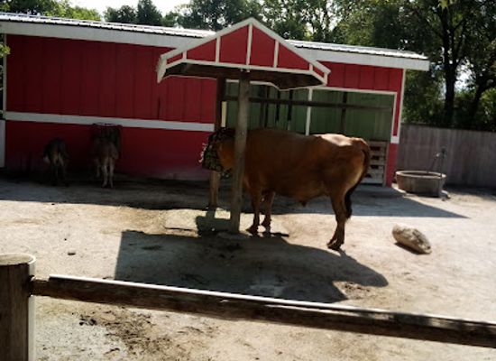 indiana/south-bend/river-park/shop/potawatomi-zoo-gift-shop