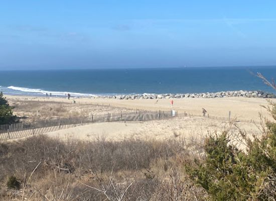 delaware/cape-henlopen-state-park/shop/herring-point
