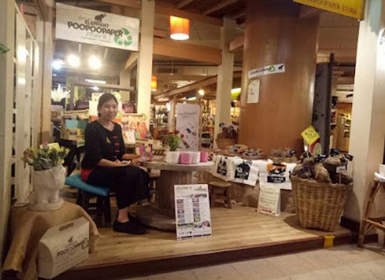 thailand/northern-thailand/shop/the-elephant-poopoopaper-store-northern-village-central-airport-plaza