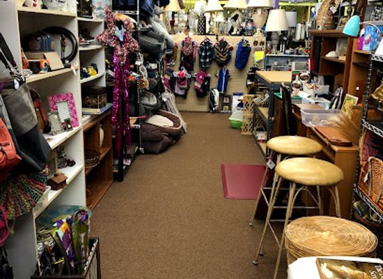 florida/fort-walton-beach/shop/paws-thrift-shop