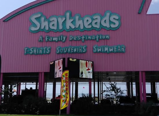 mississippi/biloxi/shop/sharkheads