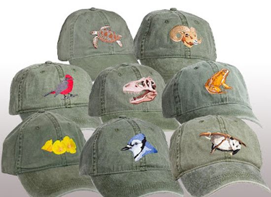 arizona/chiricahua-national-monument/shop/tom-s-bird-feeders-reptile-supplies