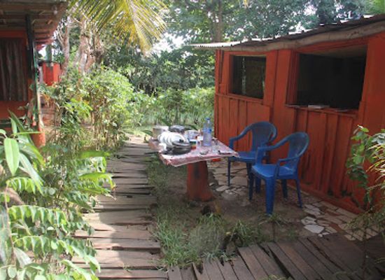 ghana/ahanta/shop/green-zion-garden