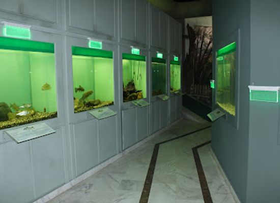 greece/western-macedonia/shop/kastoria-aquarium