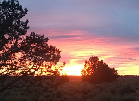 utah/colorado-plateau/shop/lotus-shop-for-crystals-online-only