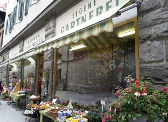 austria/bad-gastein/shop/everest-und-edelweiss