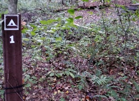 ohio/central-ohio/shop/mohican-state-park-backpack-campsite-1