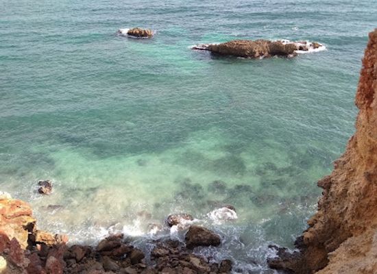 puerto-rico/la-parguera/shop/island-insider-porta-del-sol-puerto-rico-magazine