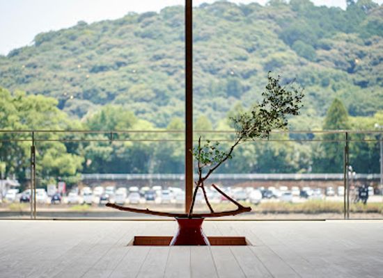 japan/dewa/shop/okyaku