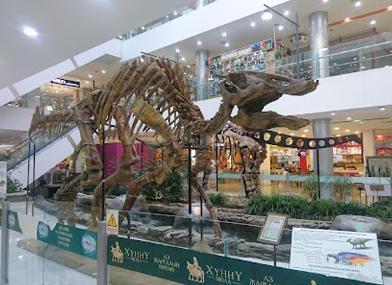 mongolia/uvs-lake-basin/shop/hunnu-mall