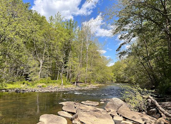maryland/gunpowder-falls-state-park/shop/gunpowder-falls-state-park-central-area