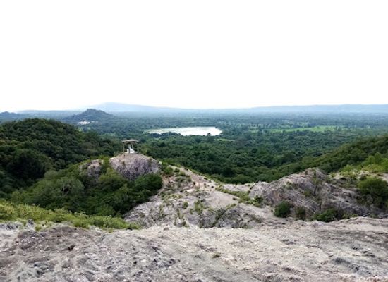 sri-lanka/cultural-triangle/shop/jathika-namal-uyana