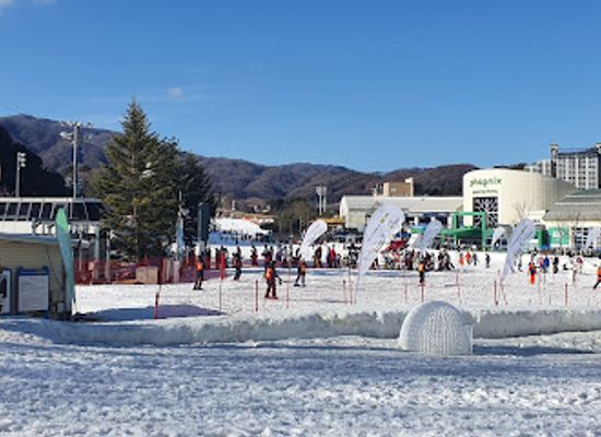 south-korea/gangwon-province/shop/phoenix-pyeongchang-luge-land