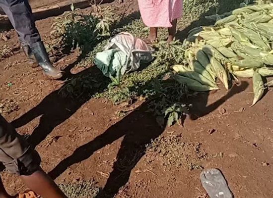kenya/tana-river-basin/shop/tana-river-market-machakos