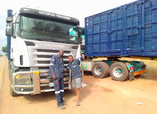 botswana/tuli-block/shop/martin-s-drift-border-post