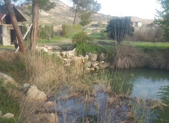 turkiye/lycian-coast/shop/kozalak-dogal-yasam-alani