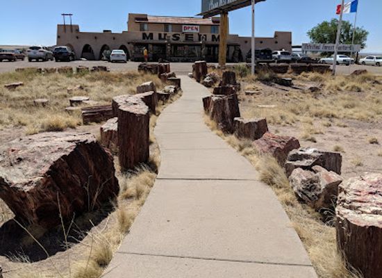arizona/navajo-county/shop/crystal-forest-museum-gifts