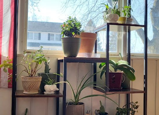 indiana/south-bend/shop/the-value-finds