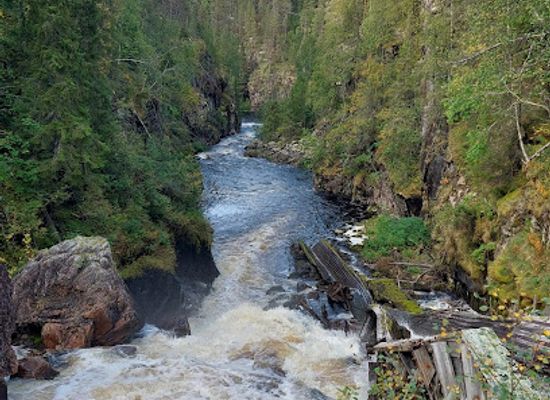 finland/lapland/shop/auttikongas