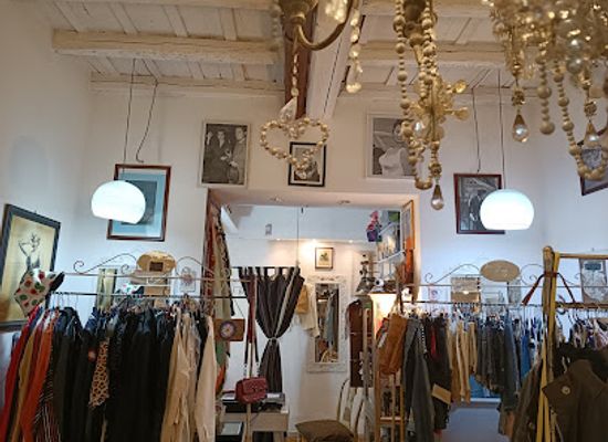 italy/rome/shop/blue-goose