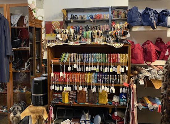 italy/bologna/shop/danigi-s-r-l-boutique