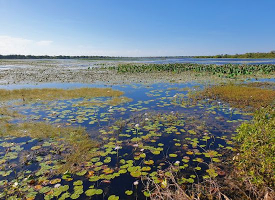 australia/kakadu-national-park/shop/mamukala-wetlands