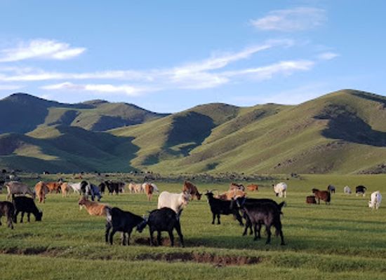 mongolia/orkhon-valley/shop/orkhon-waterfall