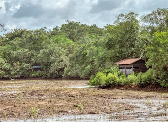 singapore/sungei-buloh-wetland-reserve/shop/bird-observation-hide-1d