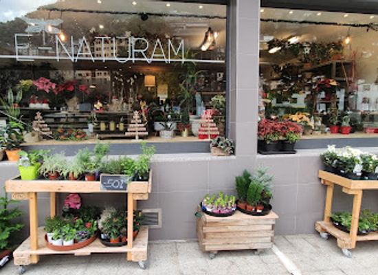 andorra/valira-del-nord-valley/shop/floristeria-e-naturam