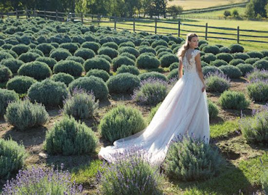 louisiana/chenier-plain/shop/olivier-couture-bridal-boutique
