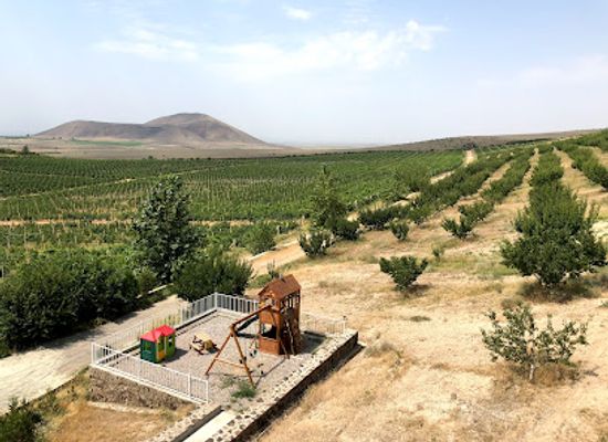 armenia/aragatsotn/shop/armas-winery