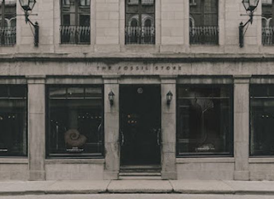 united-kingdom/lancashire/shop/the-fossil-store