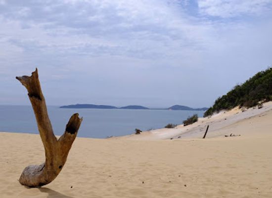 australia/great-sandy-national-park/shop/cooloola-great-walk
