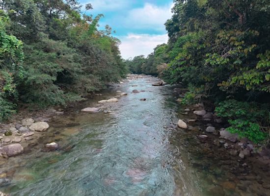 colombia/putumayo/shop/centro-turistico-el-rincon-del-vides