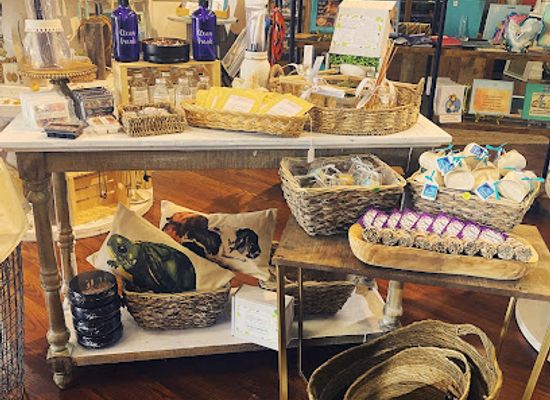 florida/north-florida/shop/the-funky-mermaid-boutique
