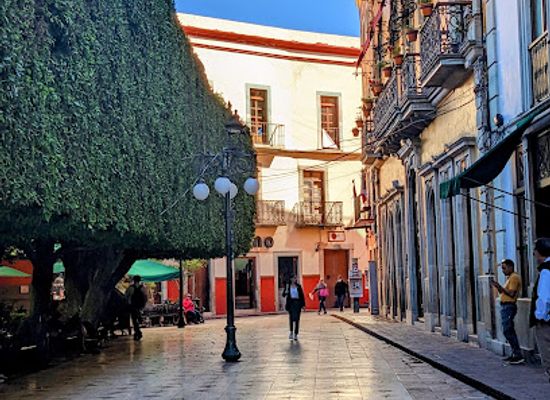 mexico/guanajuato/shop/tienda-milano-guanajuato