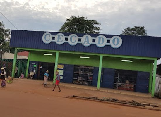 gabon/chaillu-massif/shop/cecado-lebamba