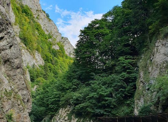 romania/brasov/shop/cheile-rasnoavei