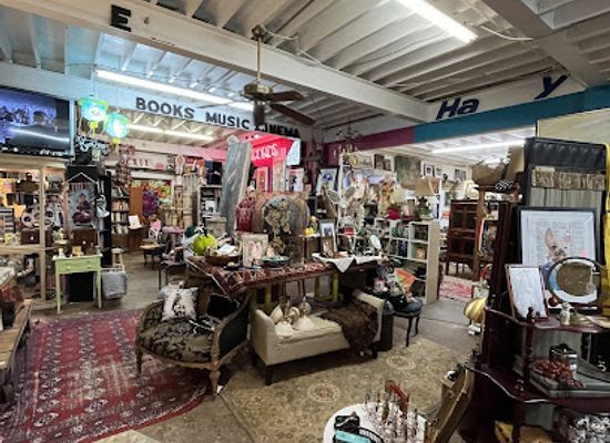 florida/jacksonville/riverside/shop/cool-stuff-vintage