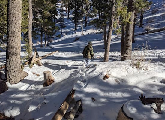 nevada/mount-charleston/shop/deer-creek-picnic-site
