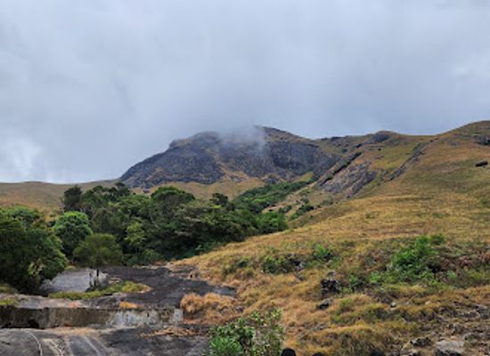 india/western-ghats/shop/eravikulam-national-park