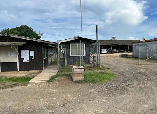 solomon-islands/kolombangara-island/shop/kfpl-ringgi-office