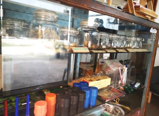 thailand/kanchanaburi/mueang-kanchanaburi/shop/cannabis-cafe-kanchanaburi