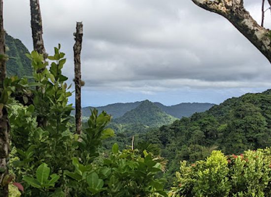 saint-lucia/soufriere-quarter/shop/grand-eden-estate