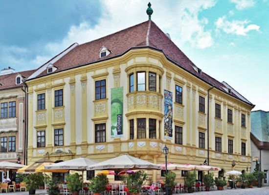 hungary/sopron-region/shop/storno-house