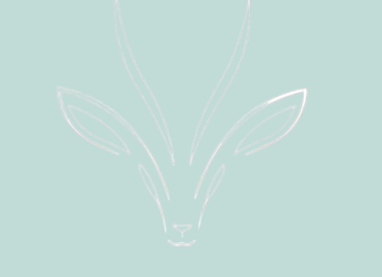 saudi-arabia/arar/shop/deer-design