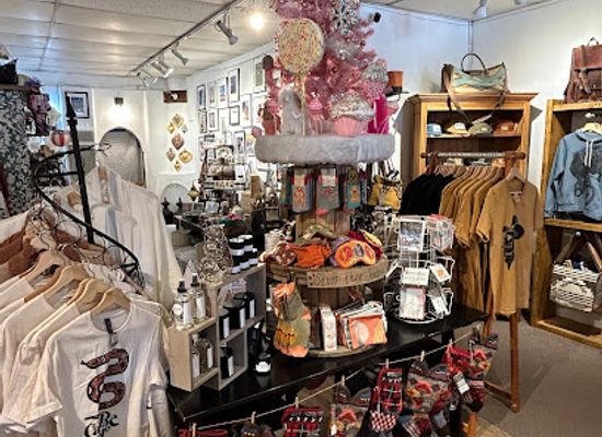 new-mexico/taos/shop/the-indigo-market