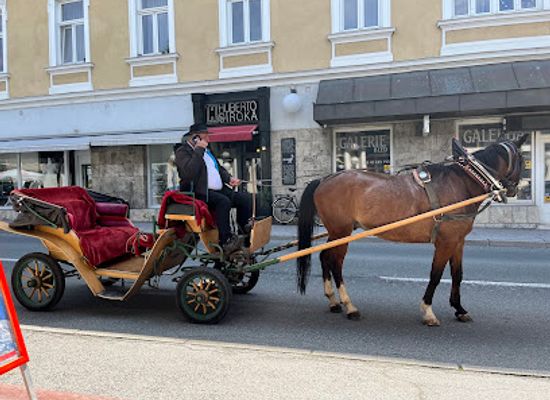 slovenia/lake-bled/shop/huberto-siroka